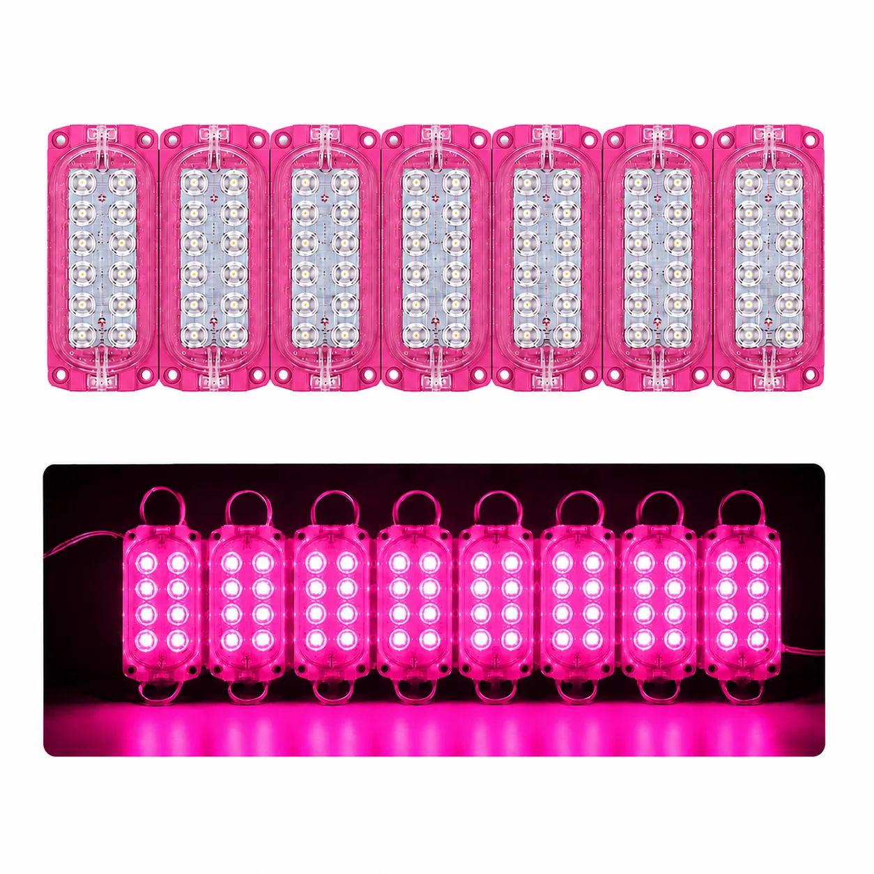 Módulo rosa de 12 LED nueva generación tira de 10 piezas