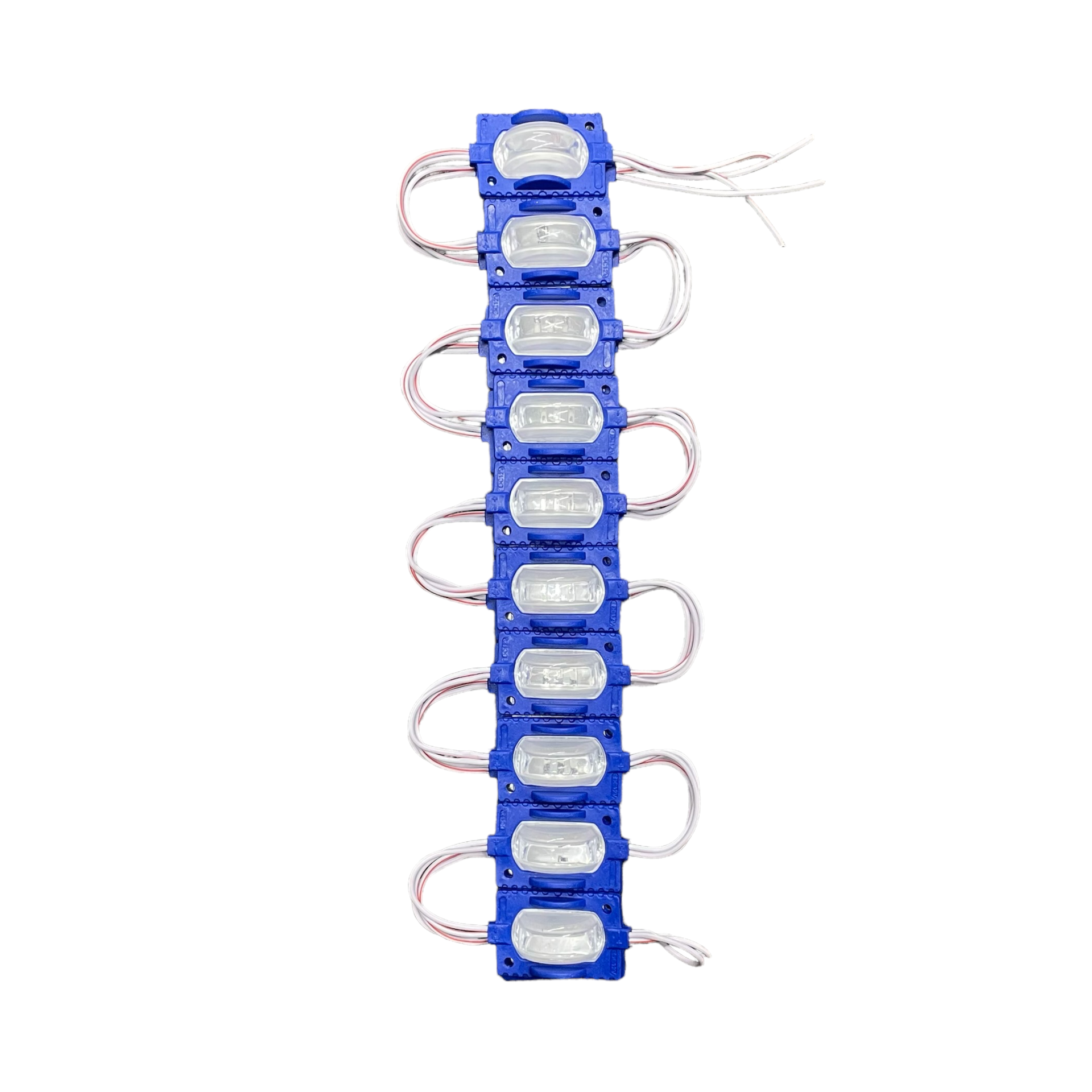 Tira de modulo LED con cápsula (tira de 20 piezas) — Azul