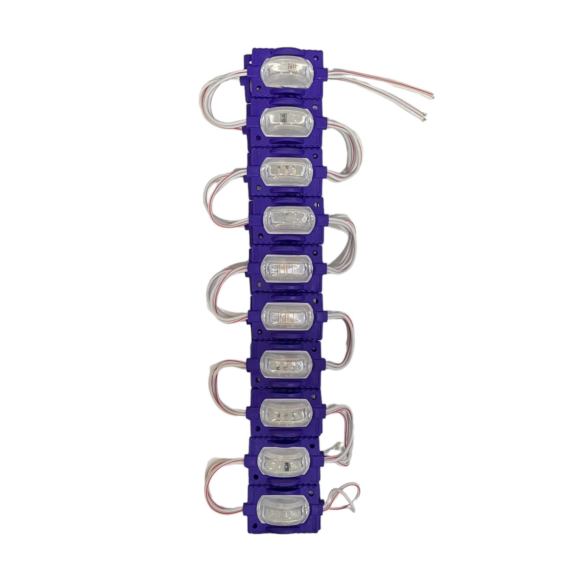 Tira de modulo LED con cápsula (tira de 20 piezas) — Morado