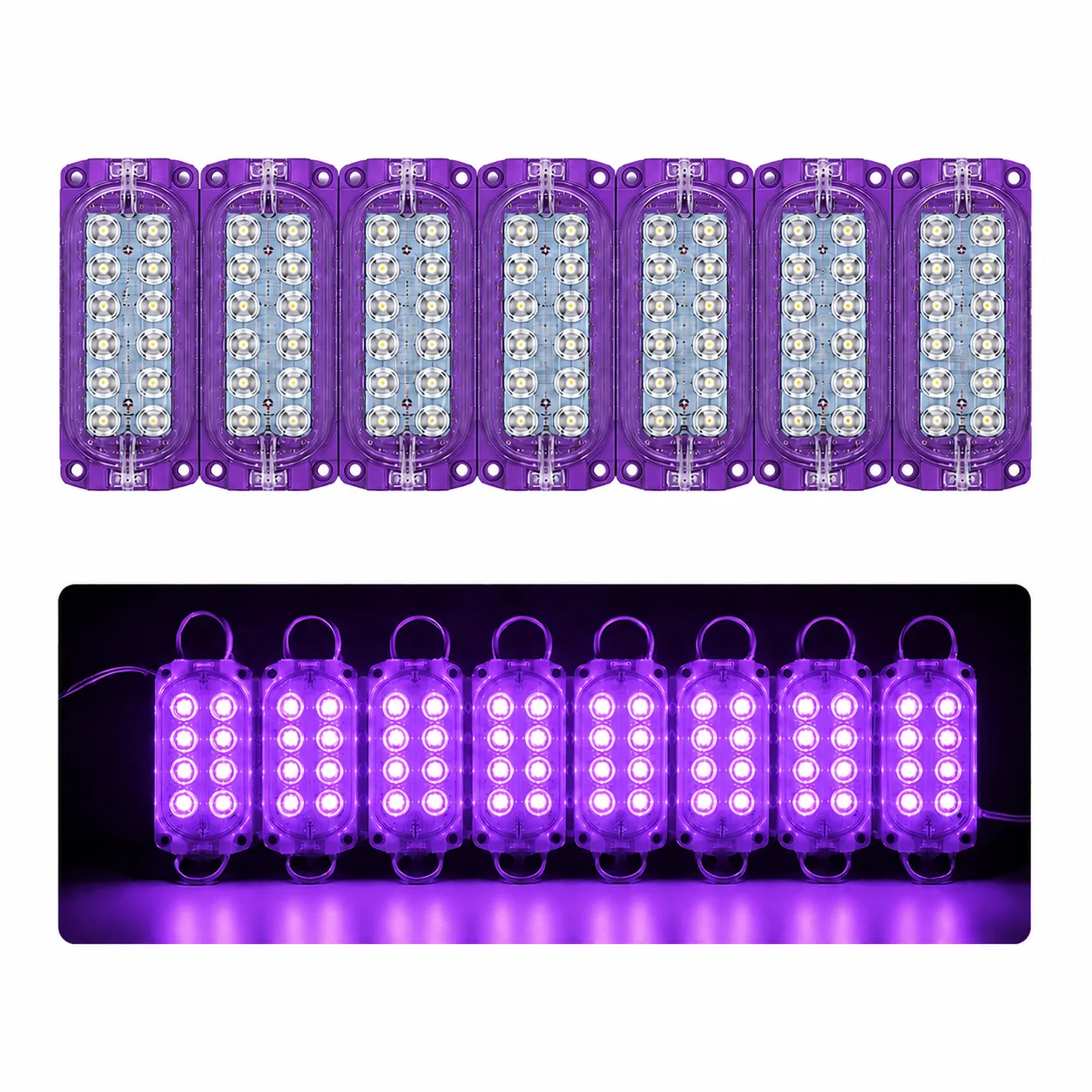 Módulo morado de 12 LED nueva generación tira de 10 piezas